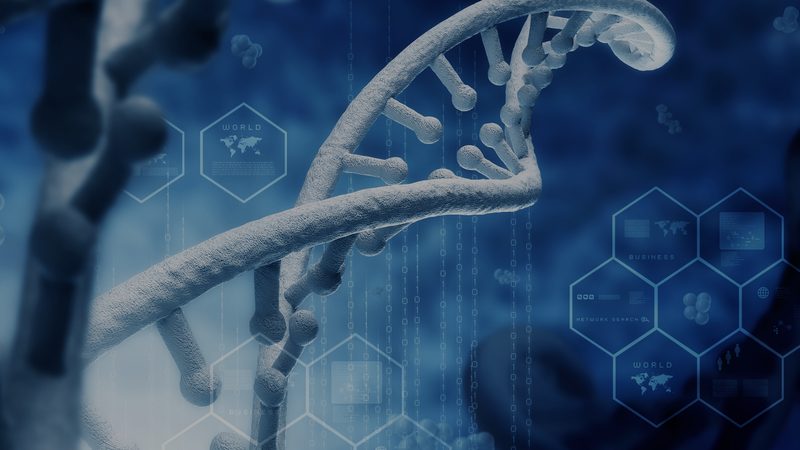 健康管理师费用可以报销吗